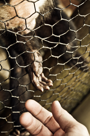 Biel Grimalt - PERSONAL - COSTA RICA